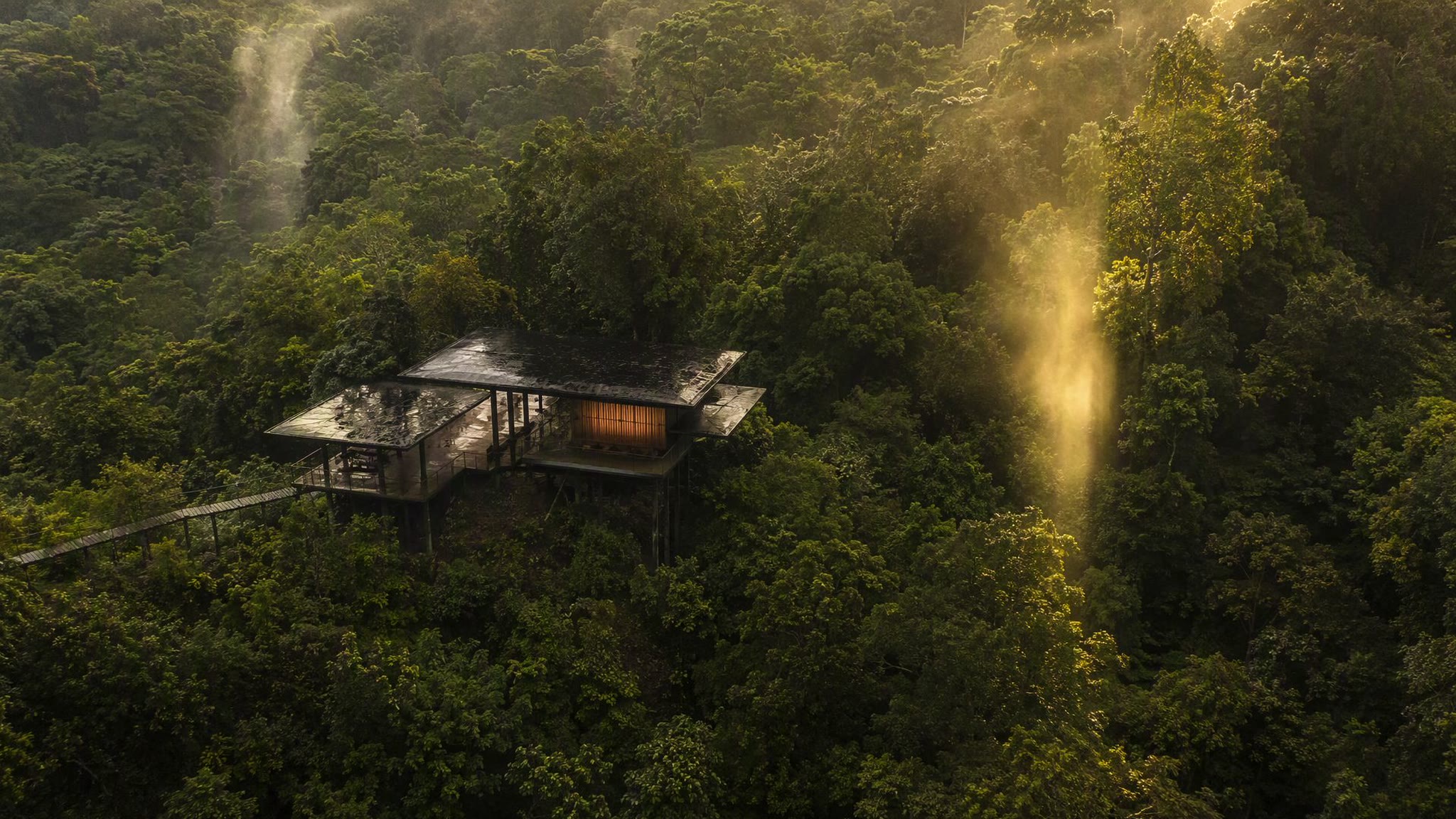 A modern pavilion roof appearing in a clearing of dense rainforest canopy