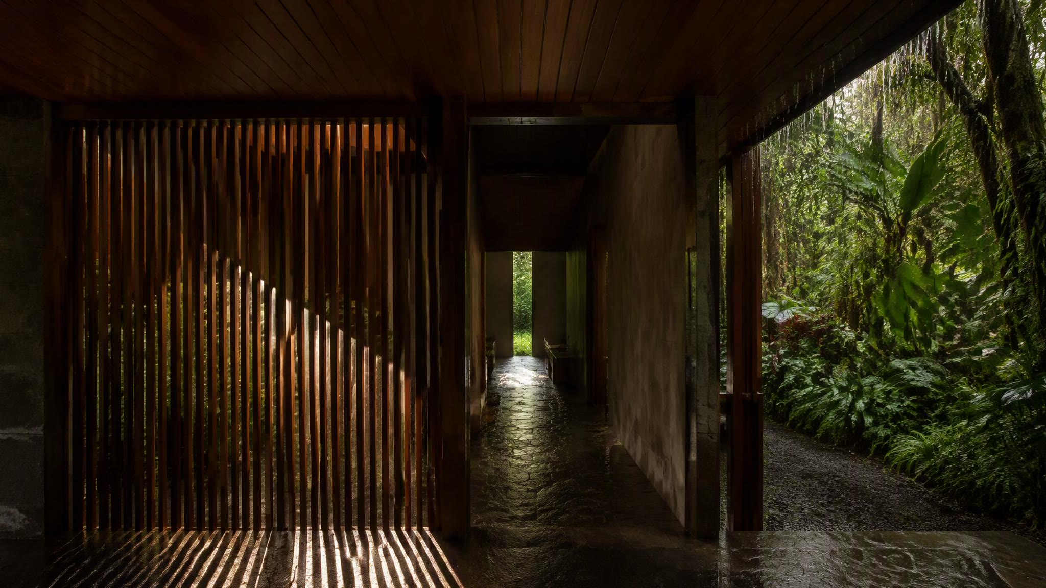 An operable hardwood screen raked by low sun, slat shadows striping wet stone paving.